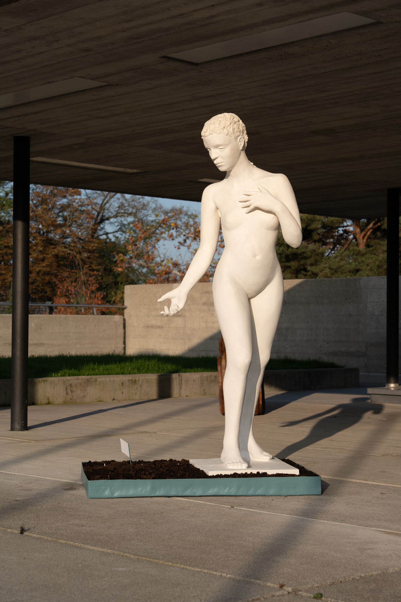 Un geste vers la terre